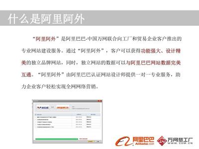 阿里阿外平台介绍 企业网站设计的专业之道
